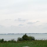 009