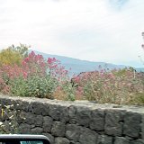 IM000281